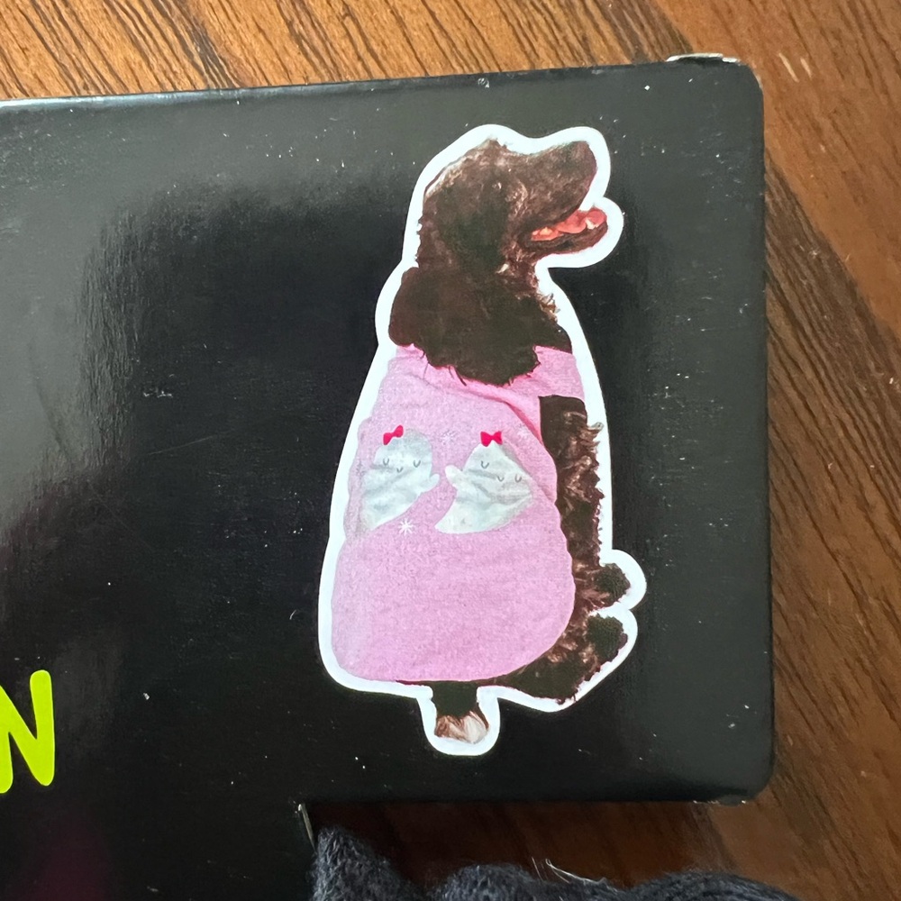 Pet Halloween Hoodie - Black and Pink